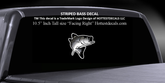 This image has an empty alt attribute; its file name is Striped-Bass-10.5-size-Truck-decal-ebay-samples-2016-e1518574112221.png