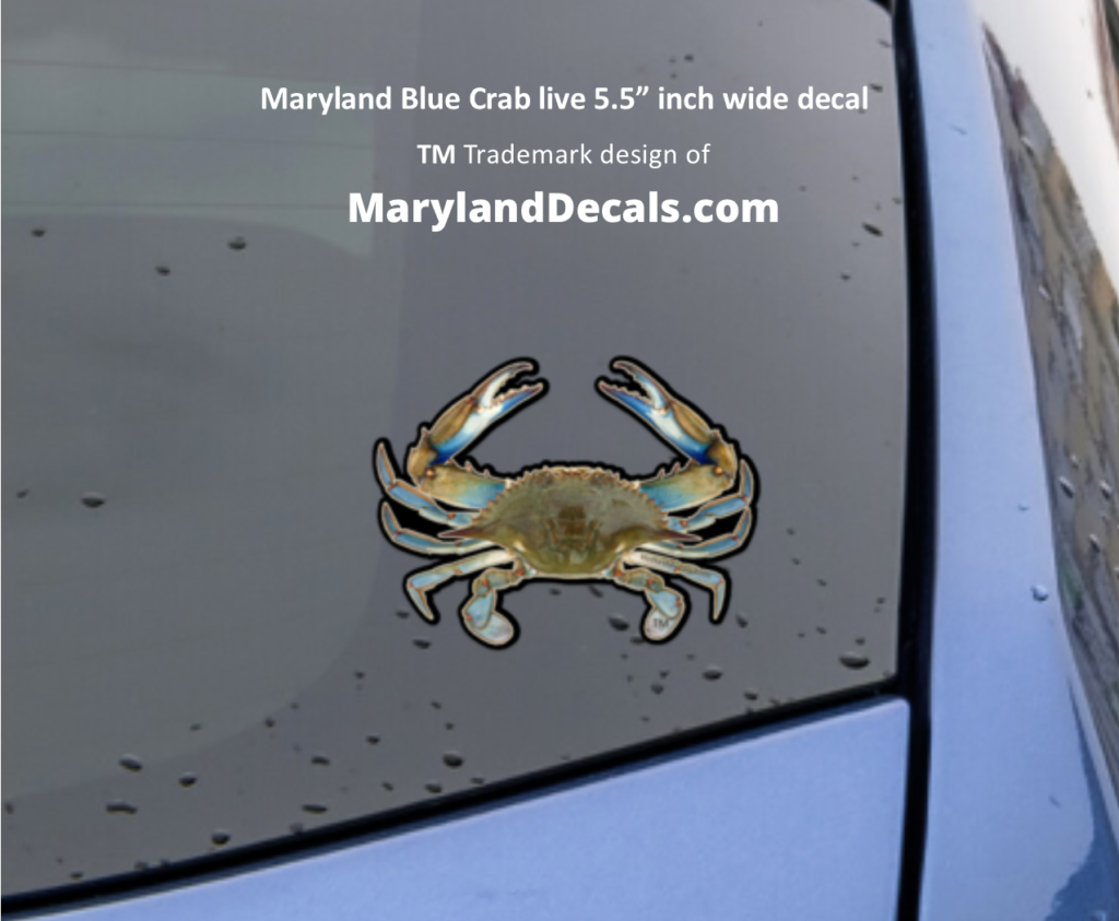 Blue crab decal