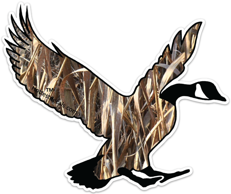 This image has an empty alt attribute; its file name is camo-goose-landing.png